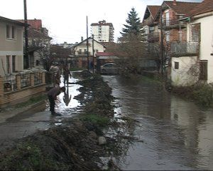 Grashnica