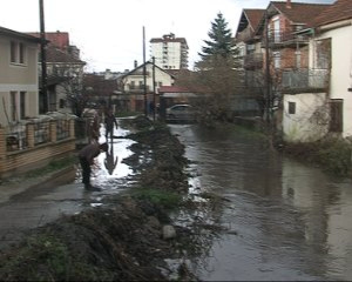 Grashnica