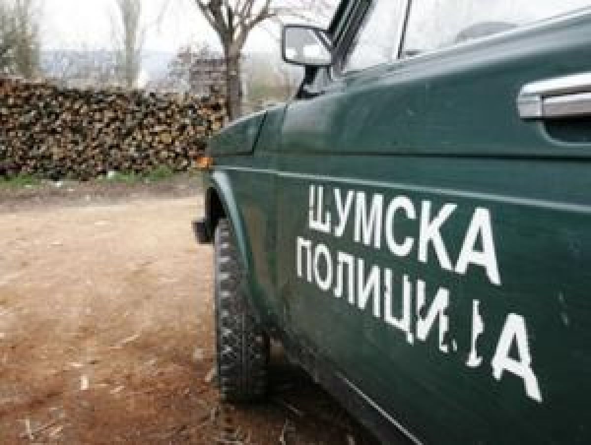 shumska policija