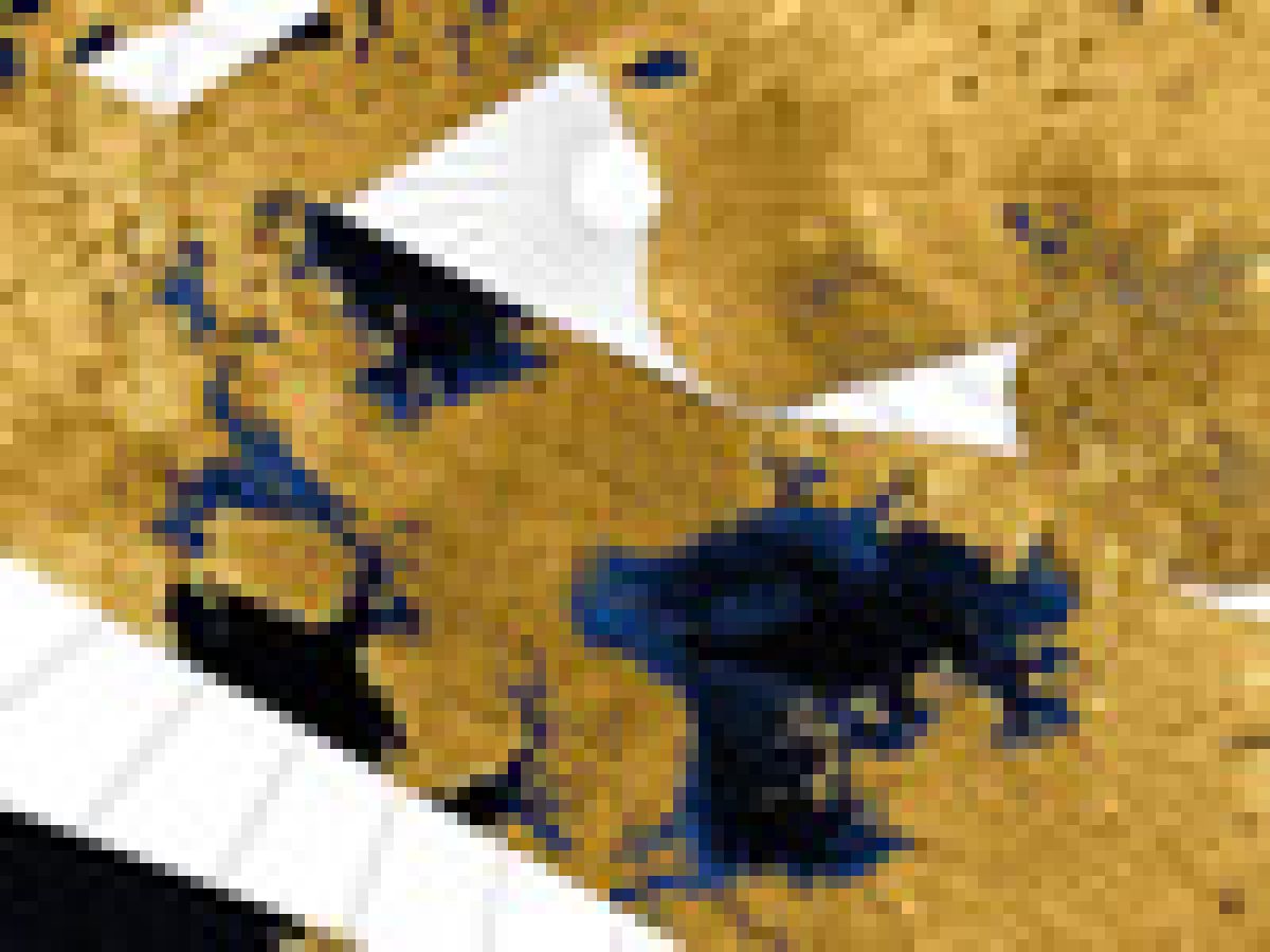 ezerata na satelitot Titan