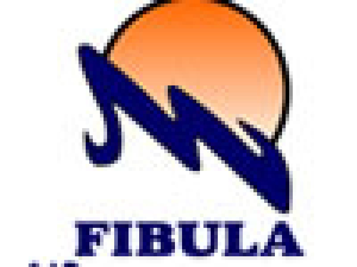 fibula