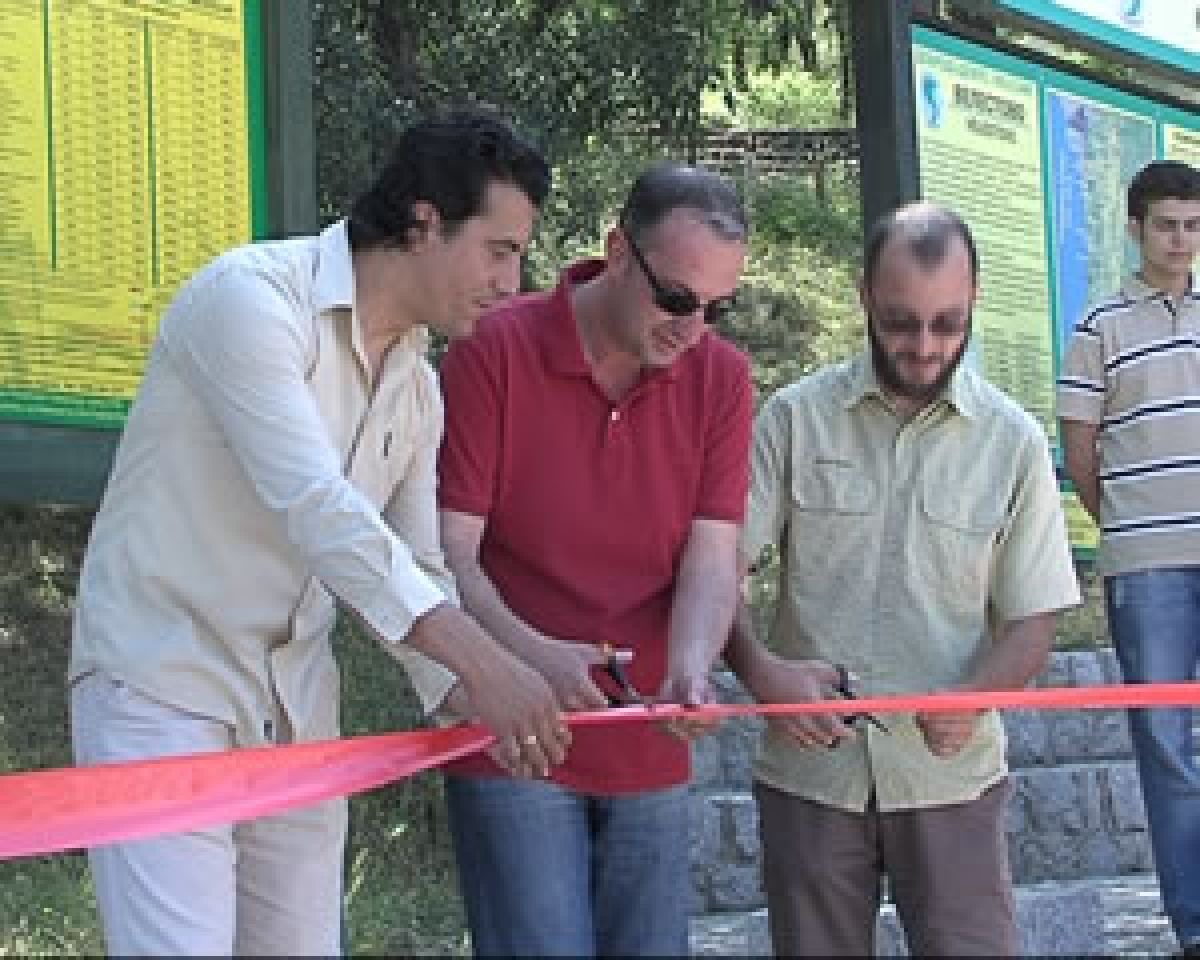 pushtanje vo upotreba