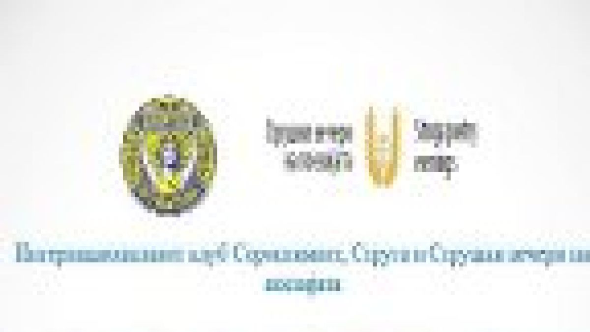 сороптимист