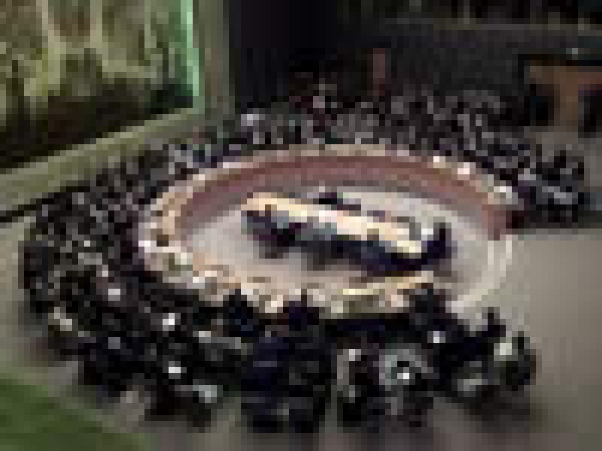 sovetot za bezbednost