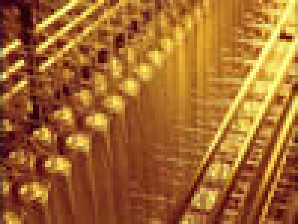 banka nuklearno gorivo