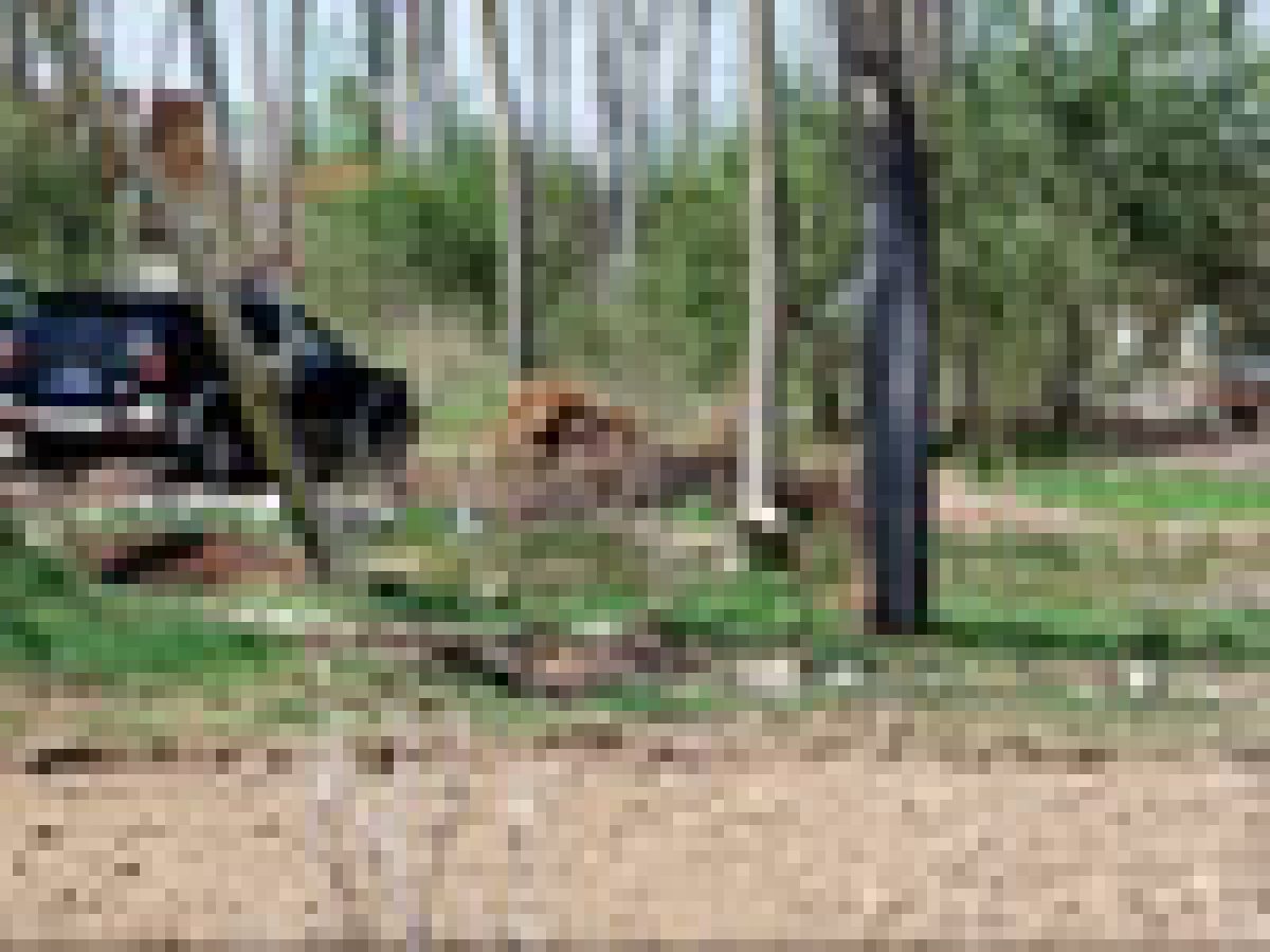 mesto na zlostorstvo