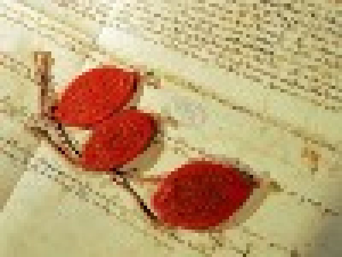 tajni dokomenti Vatican