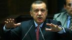 Taip Erdogan