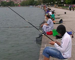 рибари