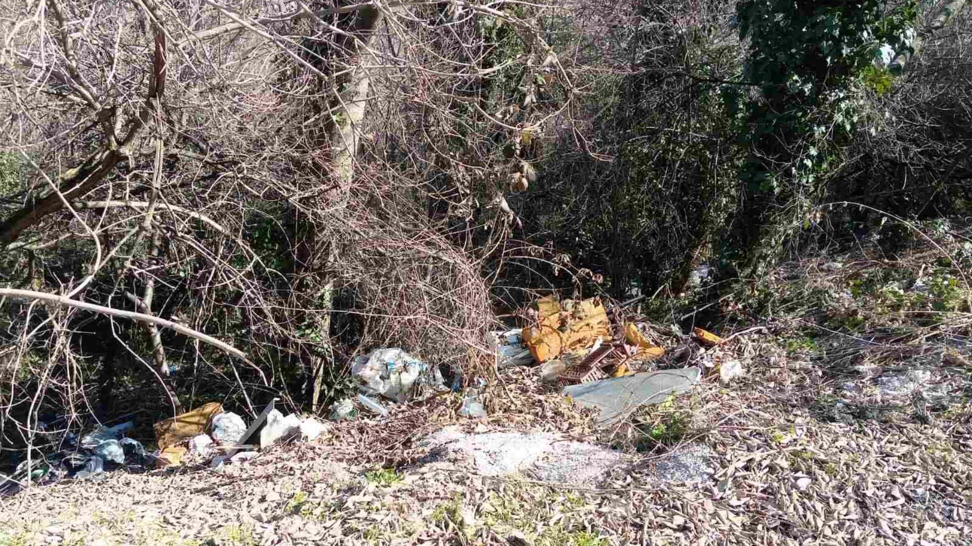 депонија во кошишта охрид